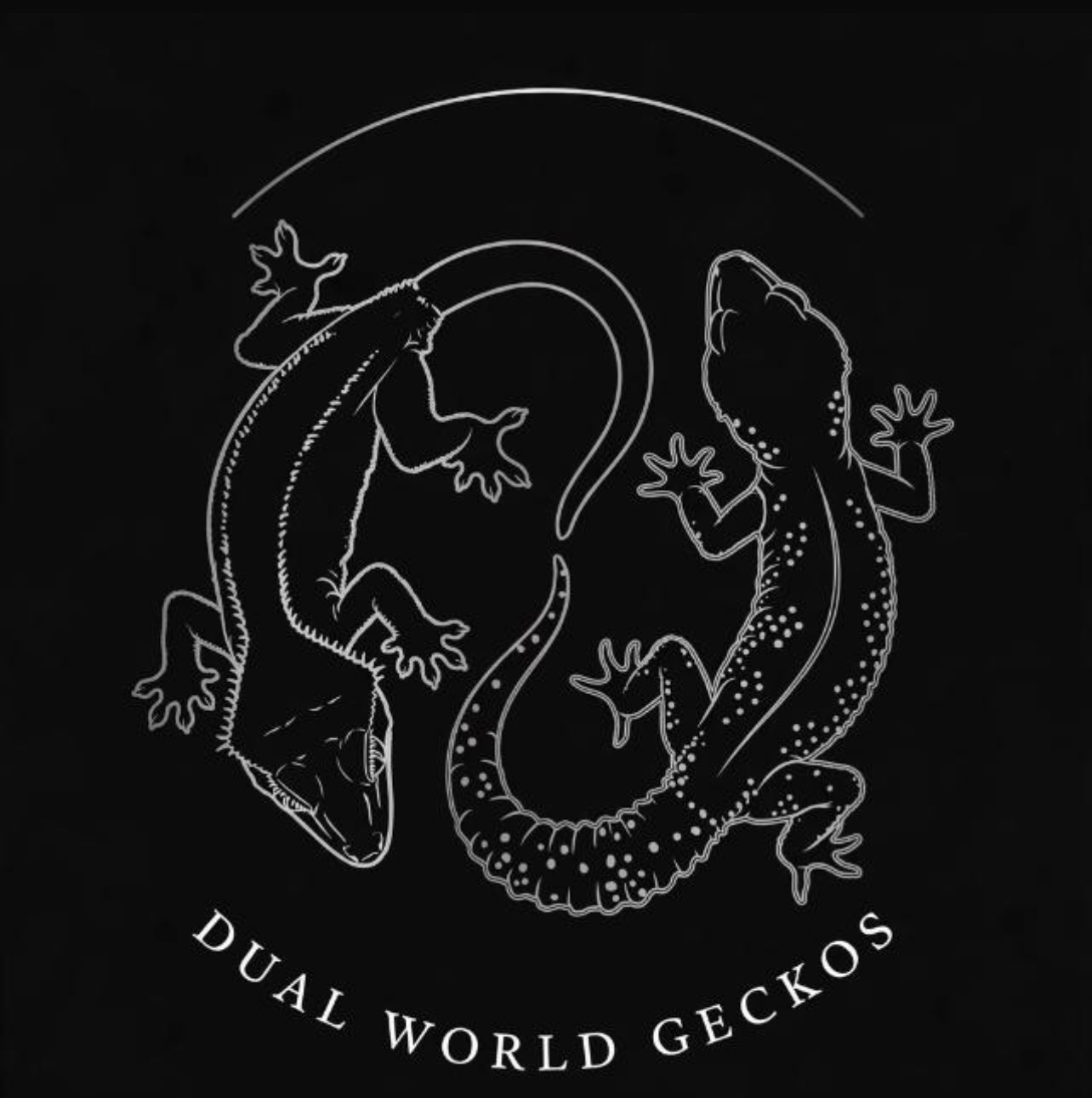 Logo Dual Worlds Geckos